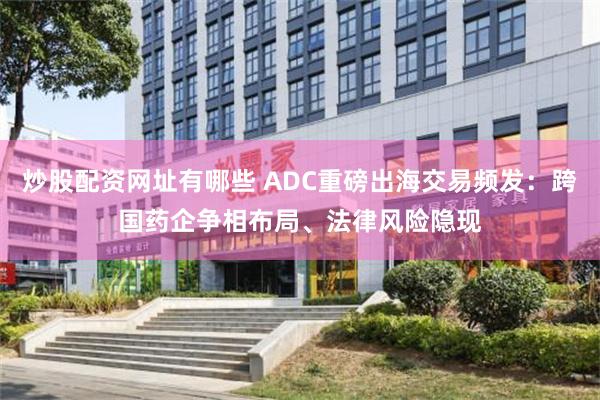 炒股配资网址有哪些 ADC重磅出海交易频发：跨国药企争相布局、法律风险隐现