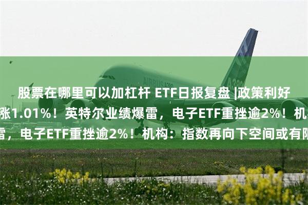 股票在哪里可以加杠杆 ETF日报复盘 |政策利好频发，医疗ETF逆市收涨1.01%！英特尔业绩爆雷，电子ETF重挫逾2%！机构：指数再向下空间或有限