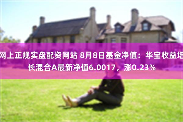 网上正规实盘配资网站 8月8日基金净值：华宝收益增长混合A最新净值6.0017，涨0.23%