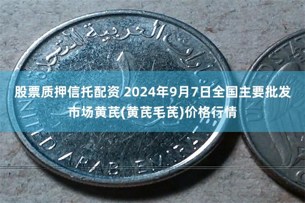 股票质押信托配资 2024年9月7日全国主要批发市场黄芪(黄芪毛芪)价格行情