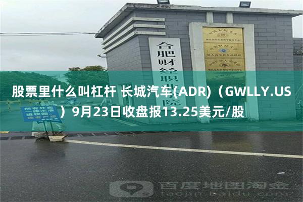 股票里什么叫杠杆 长城汽车(ADR)（GWLLY.US）9月23日收盘报13.25美元/股