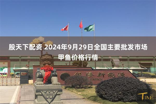 股天下配资 2024年9月29日全国主要批发市场甲鱼价格行情