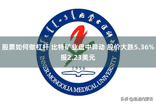 股票如何做杠杆 比特矿业盘中异动 股价大跌5.36%报2.23美元