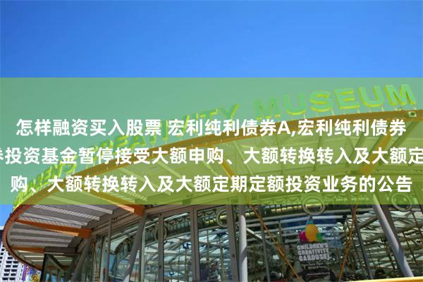 怎样融资买入股票 宏利纯利债券A,宏利纯利债券C: 宏利纯利债券型证券投资基金暂停接受大额申购、大额转换转入及大额定期定额投资业务的公告