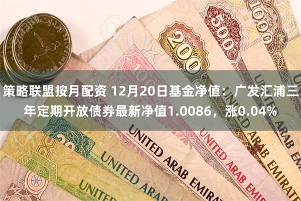 策略联盟按月配资 12月20日基金净值：广发汇浦三年定期开放债券最新净值1.0086，涨0.04%