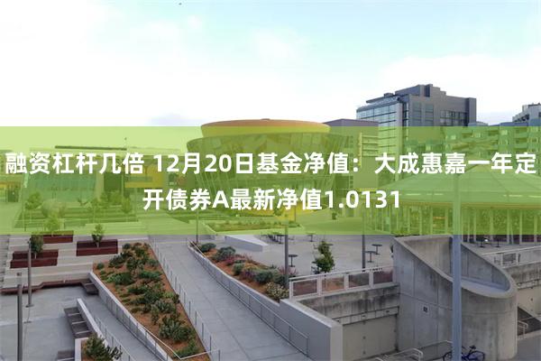 融资杠杆几倍 12月20日基金净值：大成惠嘉一年定开债券A最新净值1.0131