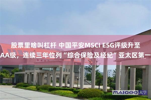 股票里啥叫杠杆 中国平安MSCI ESG评级升至AA级，连续三年位列“综合保险及经纪”亚太区第一