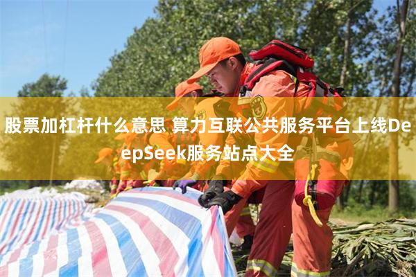 股票加杠杆什么意思 算力互联公共服务平台上线DeepSeek服务站点大全