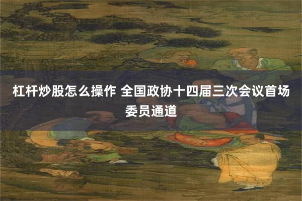 杠杆炒股怎么操作 全国政协十四届三次会议首场委员通道