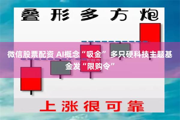 微信股票配资 AI概念“吸金” 多只硬科技主题基金发“限购令”